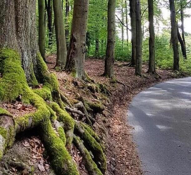 فندق Ferdinandhof Apart