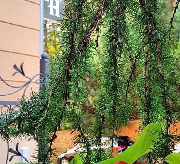 فندق Ferdinandhof Apart