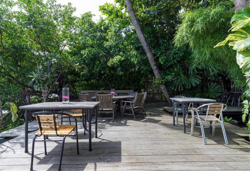 Fotos del hotel River Cottage:  8