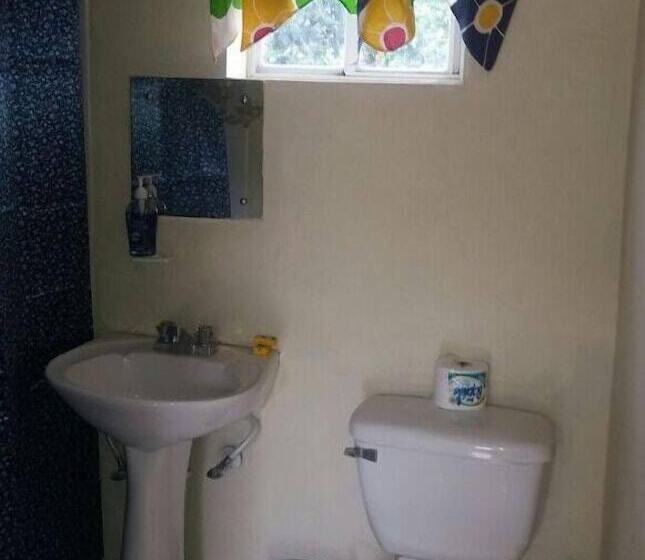 هتل Tropical Manor Inn