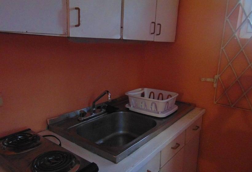 هتل Tropical Manor Inn