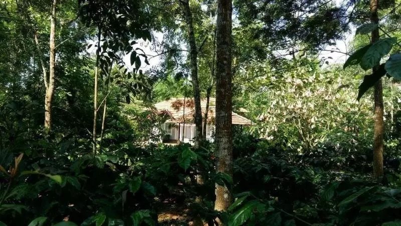 Lomakeskus Whispering Woods By Rai Hospitalities