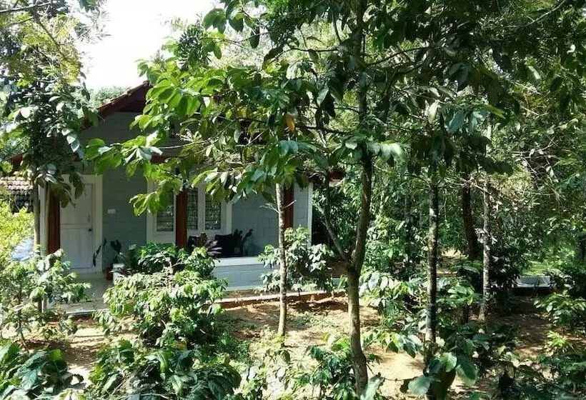 Lomakeskus Whispering Woods By Rai Hospitalities