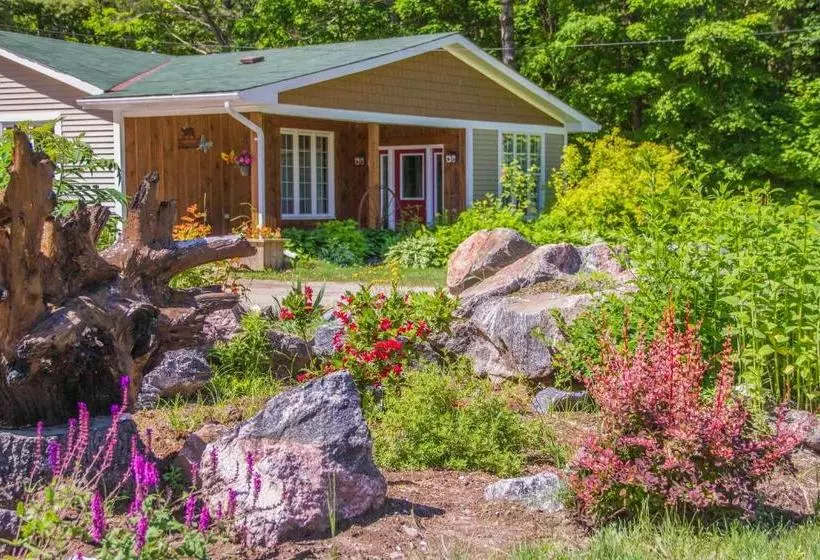 Bear & Butterfly Bed And Breakfast