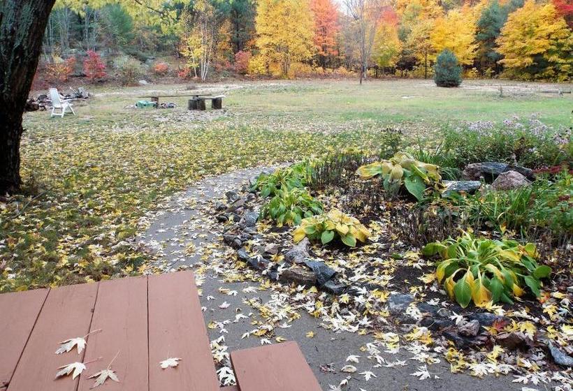 Bear & Butterfly Bed And Breakfast