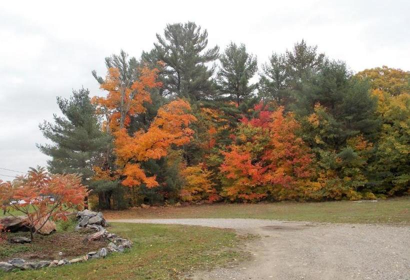 Bear & Butterfly Bed And Breakfast