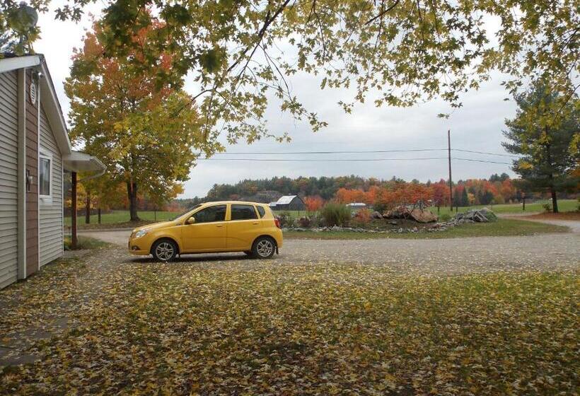 Bear & Butterfly Bed And Breakfast