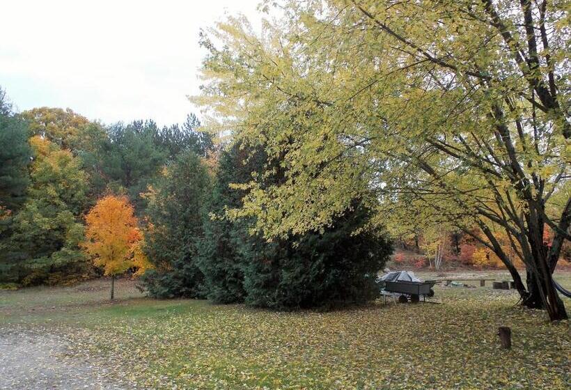 Bear & Butterfly Bed And Breakfast