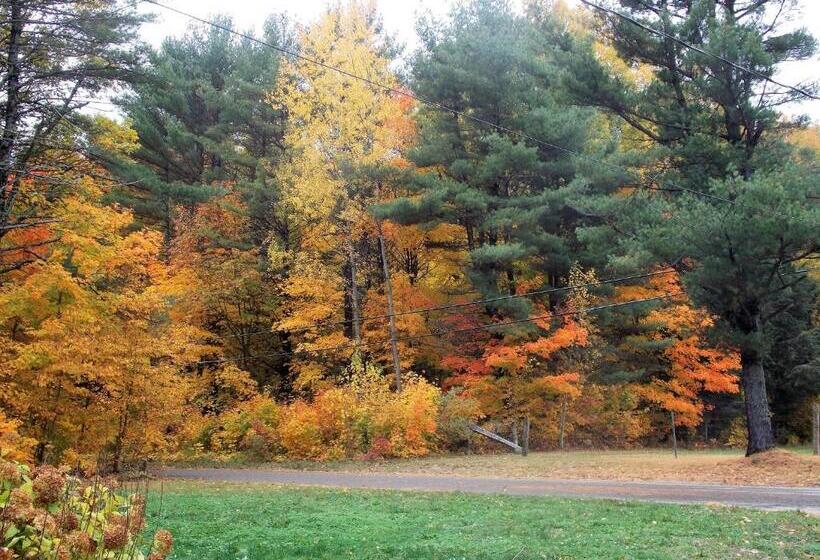 Bear & Butterfly Bed And Breakfast