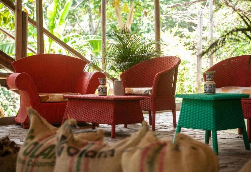 Bed & Breakfast Colores De La Sierra