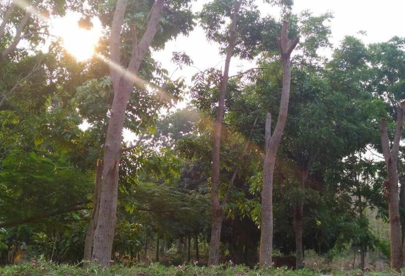 בית מלון כפרי Bedtime Story