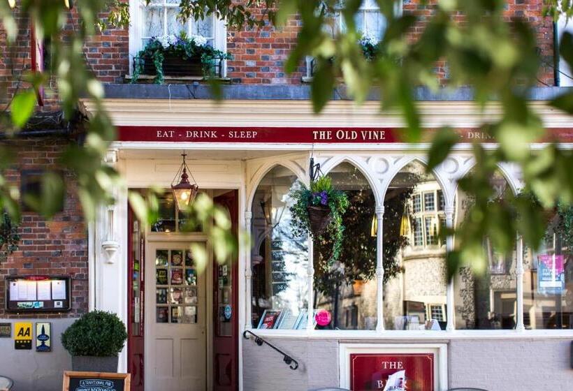 호텔 The Old Vine