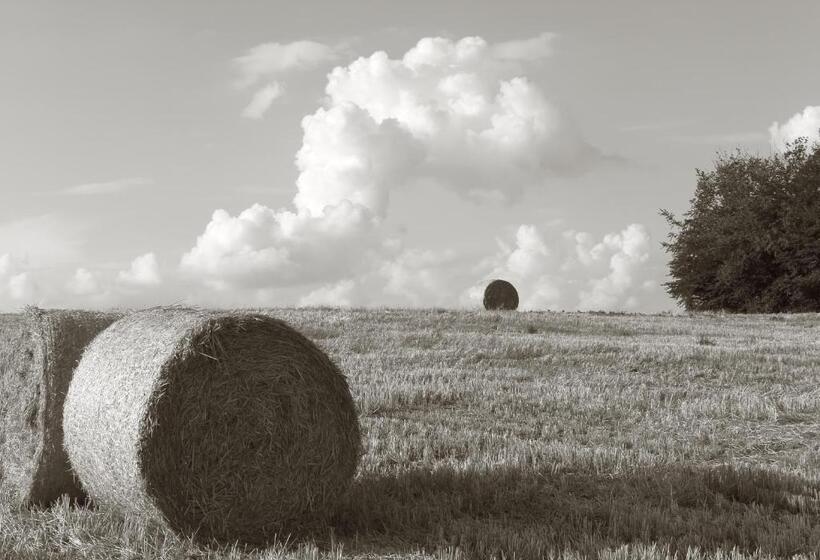 ホテル Seegasthof Franz Bolz Gbr