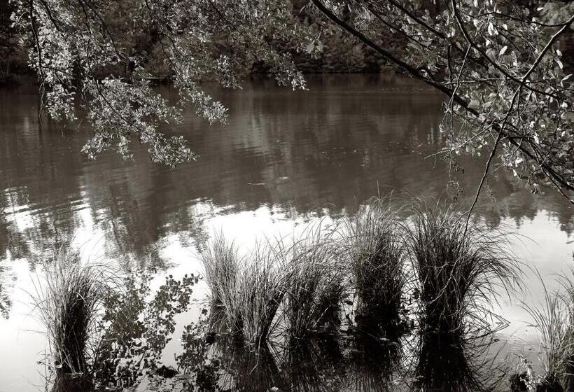 ホテル Seegasthof Franz Bolz Gbr