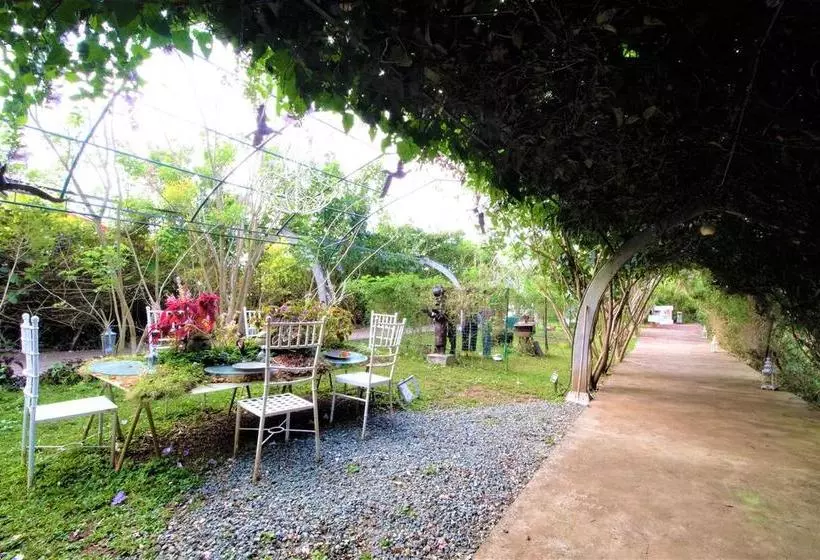 ホテル Zen Rooms Titus Poison Garden