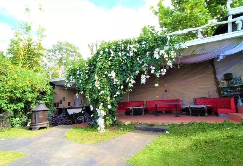 ホテル Zen Rooms Titus Poison Garden