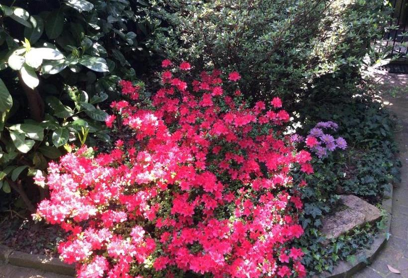 ベッドアンドブレックファースト La Casa Di Baba