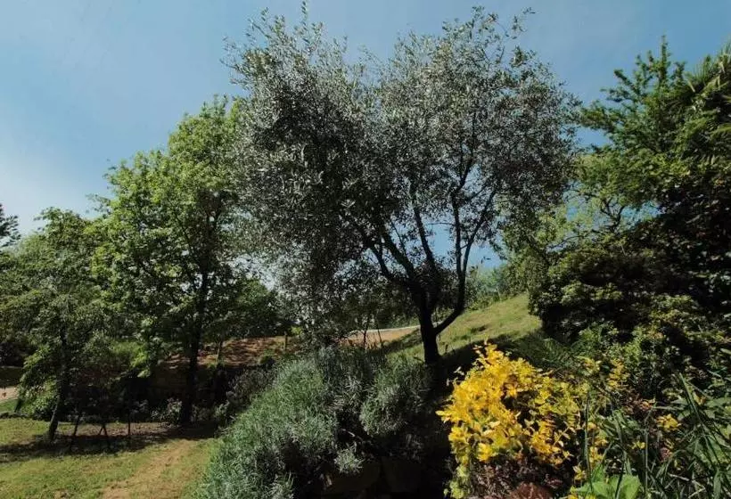 Aamiaismajoitus (B&B) La Casa Di Baba