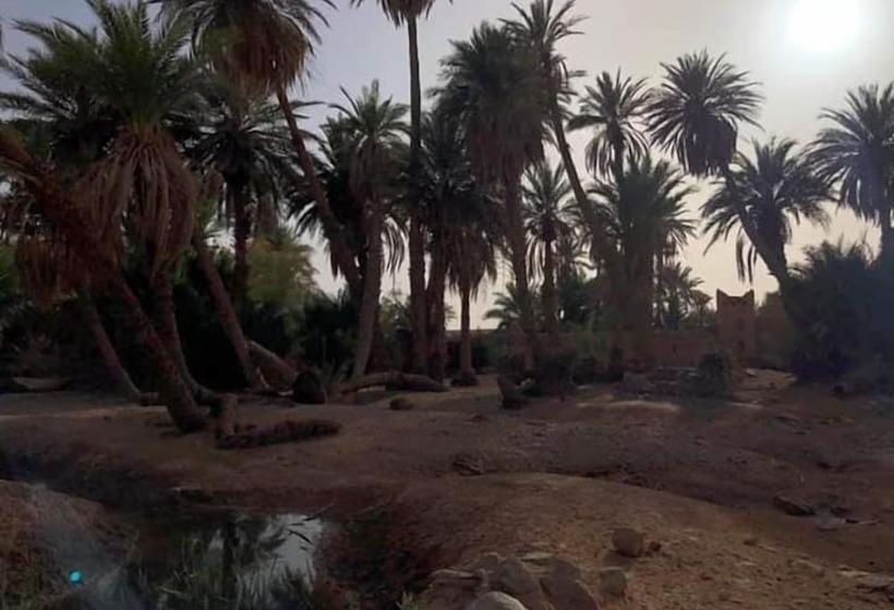 تختخواب و صبحانه Sahara Source Vie