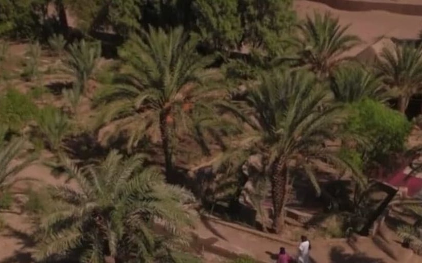 تختخواب و صبحانه Sahara Source Vie