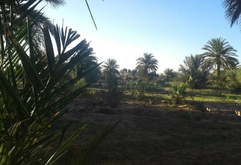 تختخواب و صبحانه Sahara Source Vie