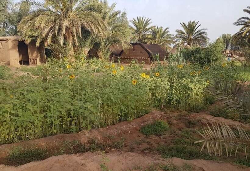 تختخواب و صبحانه Sahara Source Vie