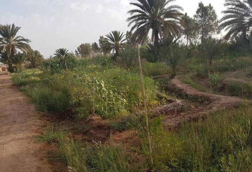 تختخواب و صبحانه Sahara Source Vie