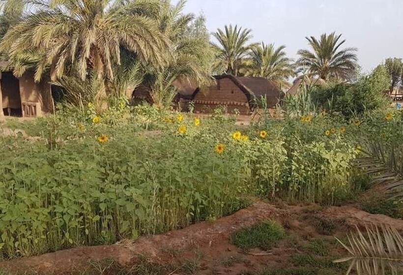 تختخواب و صبحانه Sahara Source Vie