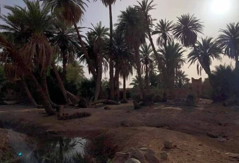 تختخواب و صبحانه Sahara Source Vie