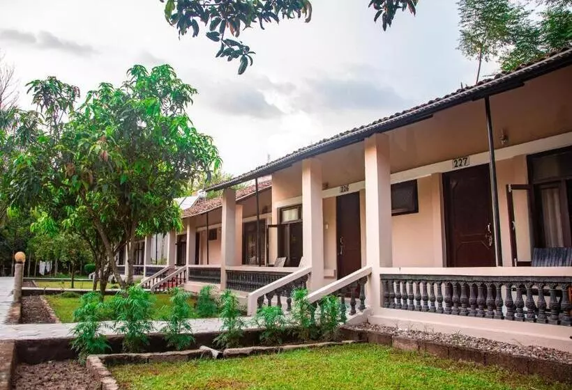 Chitwan Riverside Resort