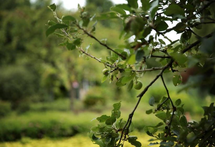 Picabella B&b En Atelier