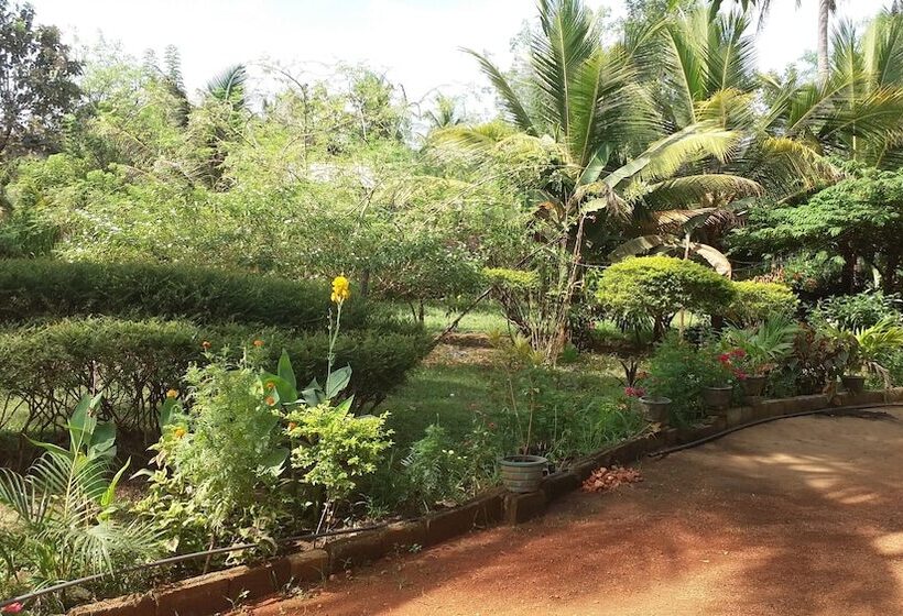 مبيت وإفطار Sigiriya Pikaso Homestay