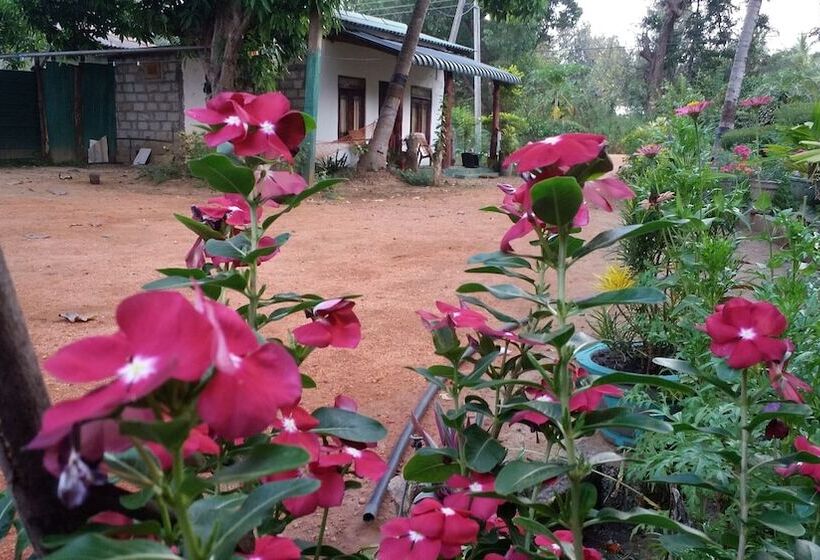 مبيت وإفطار Sigiriya Pikaso Homestay