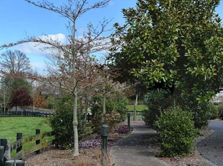 Eldonwood Bed And Breakfast