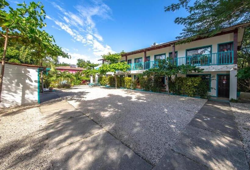 호텔 Diversion Tropical