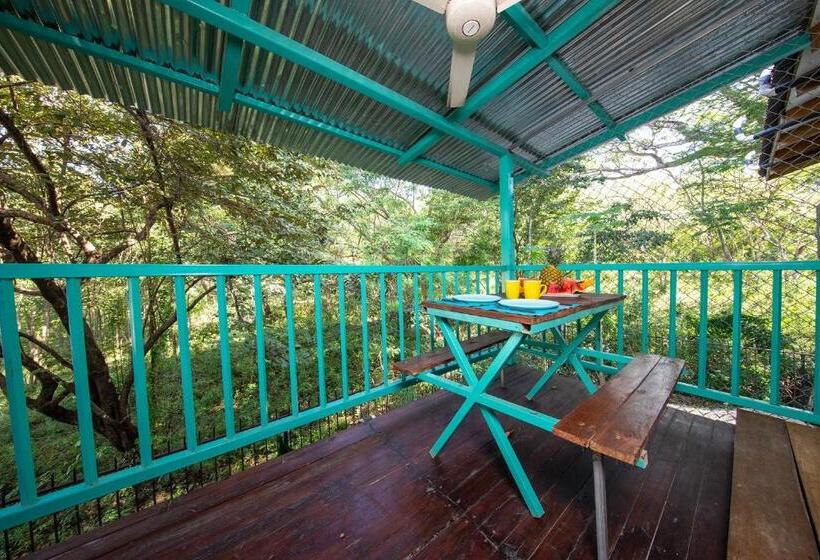 호텔 Diversion Tropical