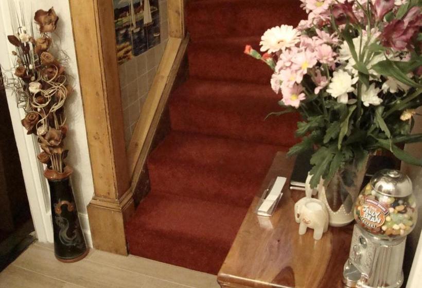 مبيت وإفطار Ailsa