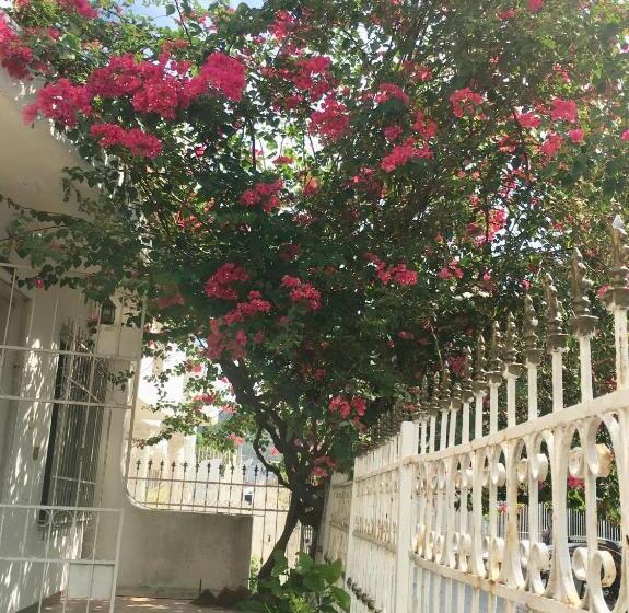 تختخواب و صبحانه Alojamiento Arte Y Salud