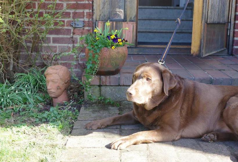 مبيت وإفطار Villa Pedell