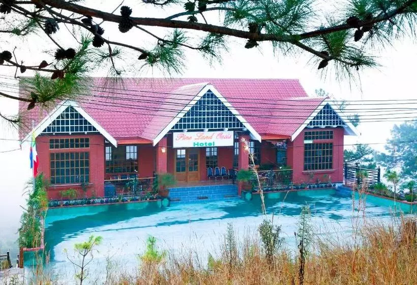 هتل Pine Land Oasis