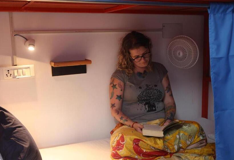 Live Free Hostel Rishikesh