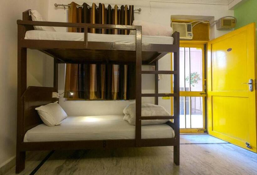 Live Free Hostel Rishikesh