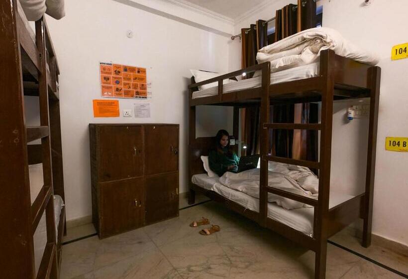 Live Free Hostel Rishikesh