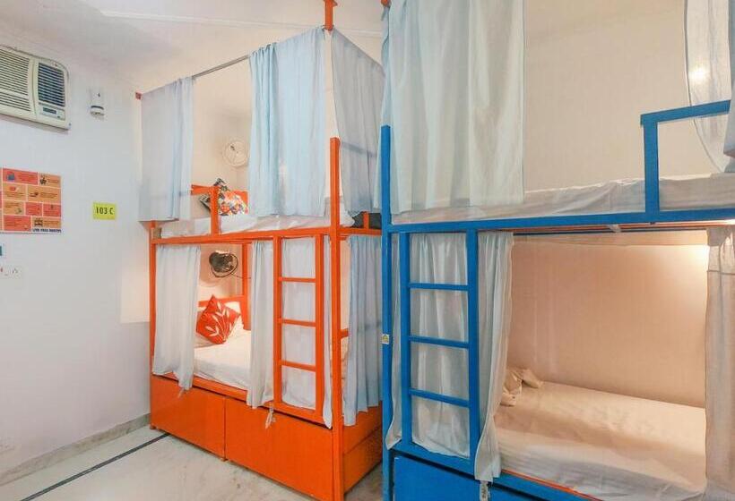 Live Free Hostel Rishikesh