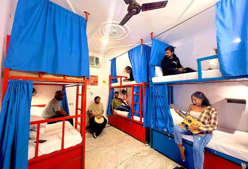 Live Free Hostel Rishikesh