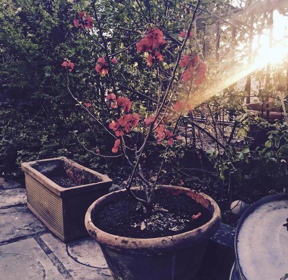 Ponte Di Certosa B&b