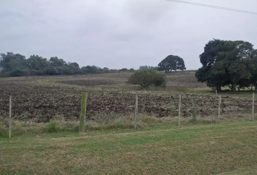 ベッドアンドブレックファースト Los Azahares