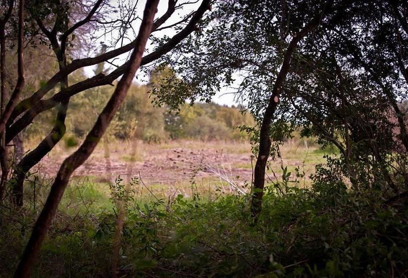 مبيت وإفطار Los Azahares