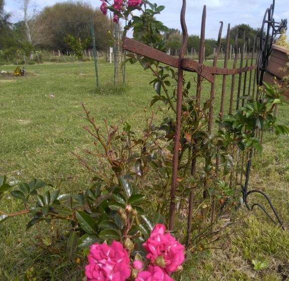 مبيت وإفطار Los Azahares