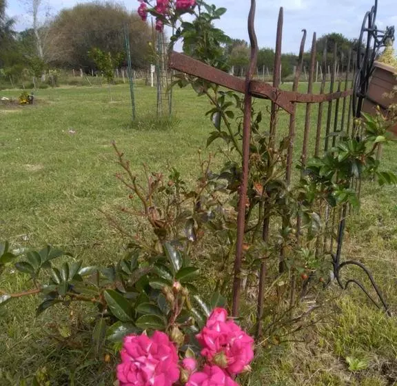 ベッドアンドブレックファースト Los Azahares